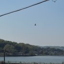 동산축산 이미지