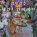 아이와 함께 가볼 만한 광주 카페 세컨드원 바이브 초월점 후기