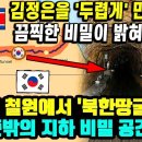 김정은을 '두렵게' 만드는 끔찍한 비밀이 밝혀졌다- 강원도 철원에서 '북한땅굴' 발견 이미지