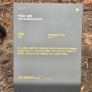 떠도는섬들 이미지