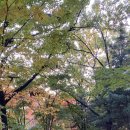 맵시세탁소 이미지