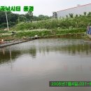 월곡 낚시터 이미지