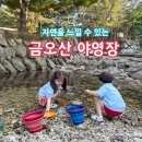 금오산 야영장 | 경북 구미 금오산야영장 자연속 힐링캠프닉