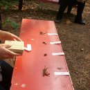 양서초등학교 이미지