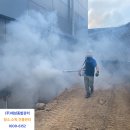 대성방역공사 - 동작구 상도로15길 143 | 대성방역공사