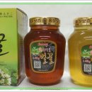 최순복농장 Daum카페