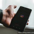 응용 소프트웨어 개발 및 공급업