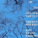 그물 / 디카 - 詩 이미지