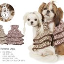 엔젤퍼피 이미지