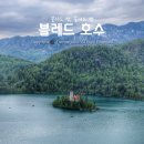 블레드성, 블레드섬, 슬로베니아 필수 코스, 플레타나 가격 후기, 블레드 호수 여행