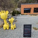 성주읍4길 | 대구 근교 경북 성주 뷰 카페 넓은 마당 반려견 아이와 함께 오기 좋은 마운트리 카페 후기