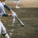 호텔 돔 이미지