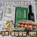 옹알옹알 | 산란 당일 배송 구쁘 ‘옹알옹알’ 1년 정기배송 후기🥚 난각번호 2번 / 비린내 0