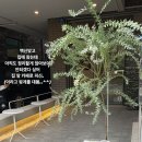 페이보릿향동