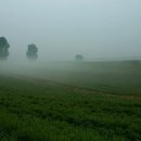 언덕목장 이미지