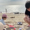 제부비치랜드 이미지