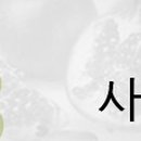 그라나다보호작업센터 네이버블로그