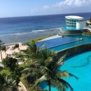 로얄카프라자 이미지