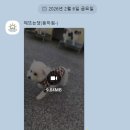 해뜨는댕 이미지