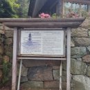 장전미술관 이미지