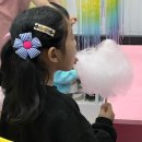 드 포레스트 부산점 이미지