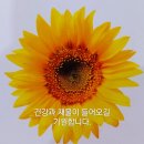 진천농협하나로마트 이미지