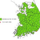 한반도 점령한 &#39;꿀벌킬러&#39; 등검은말벌..대책은 14년째 無 이미지