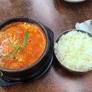 엠에스건 이미지