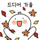 마이카워시 - 김포시 대곶북로 262 | 마이카워시