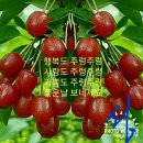 일이사