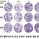 바이오텍 이미지