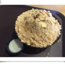 설빙고양