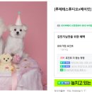 루체테스튜디오 이미지