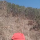 박용수농장 이미지