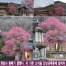 구례중학교 이미지