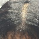 모블링스 부산지사