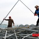 월호농장 이미지