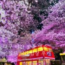 대구 야간 벚꽃보기 좋은 이월드 야간입장 후기 (이월드 빨간버스 포토존 위치/대구 이월드 할인정보)
