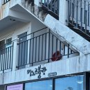 제주블랑 | 제주 감귤체험 추천 산방산 카페 마노르블랑