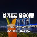 JO GYM(조 짐) | 싱가포르 자유여행 코스 :: 팬 퍼시픽 호텔 조식부터 마리나 베이 야경 명당까지 총정리