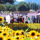 용대관광지2 이미지