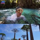 어메이징 아프리카 이미지