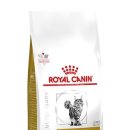 대웅동물병원 이미지