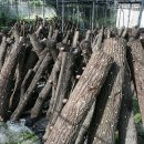 춘원농장 이미지