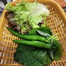 돈가 생뒷고기 이미지