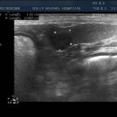 딜리동물병원 이미지