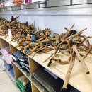 베스트피쉬 수족관 이미지