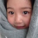 장미텔레콤 이미지