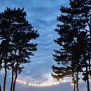 노을숲캠핑장 이미지