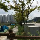 사임당로공원 이미지